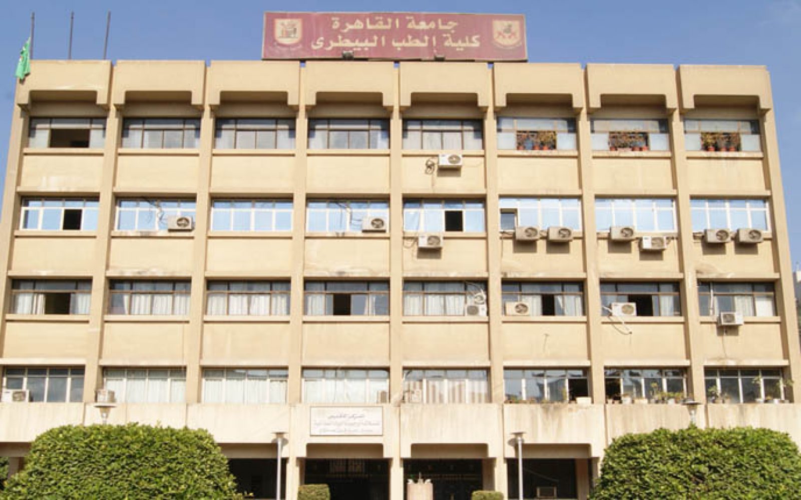 المؤتمر البيطري الكبير يجتمع في القاهرة: تحت الضوء صناعة اللقاحات في مصر