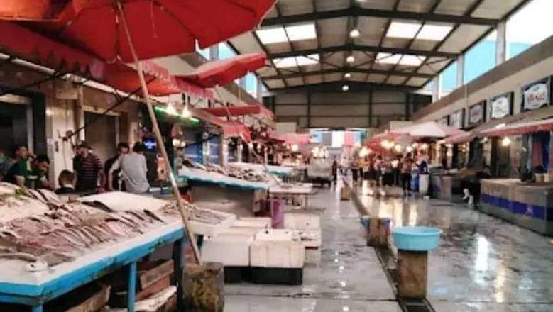 تقرير أسعار السمك في مصر: تحليل شامل لأسعار السمك اليوم وتأثير الطلب والعرض على قطاع الأسماك