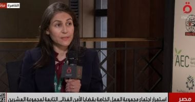 استضافة مصر لمجموعة العشرين: دورها في تعزيز الاقتصاد العالمي